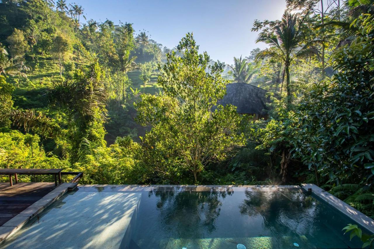 Buahan, A Banyan Tree Escape Payangan Eksteriør billede