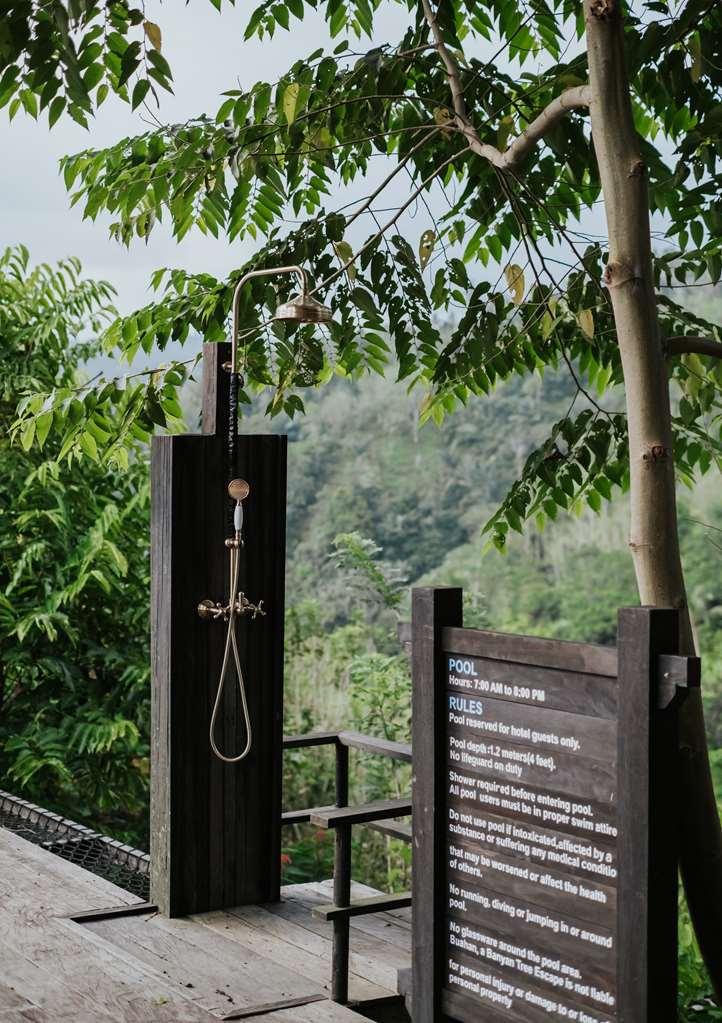Buahan, A Banyan Tree Escape Payangan Faciliteter billede